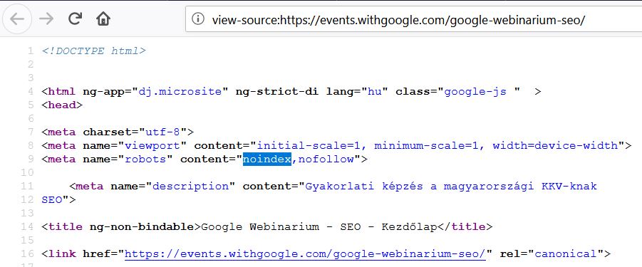 google seo webinar noindex