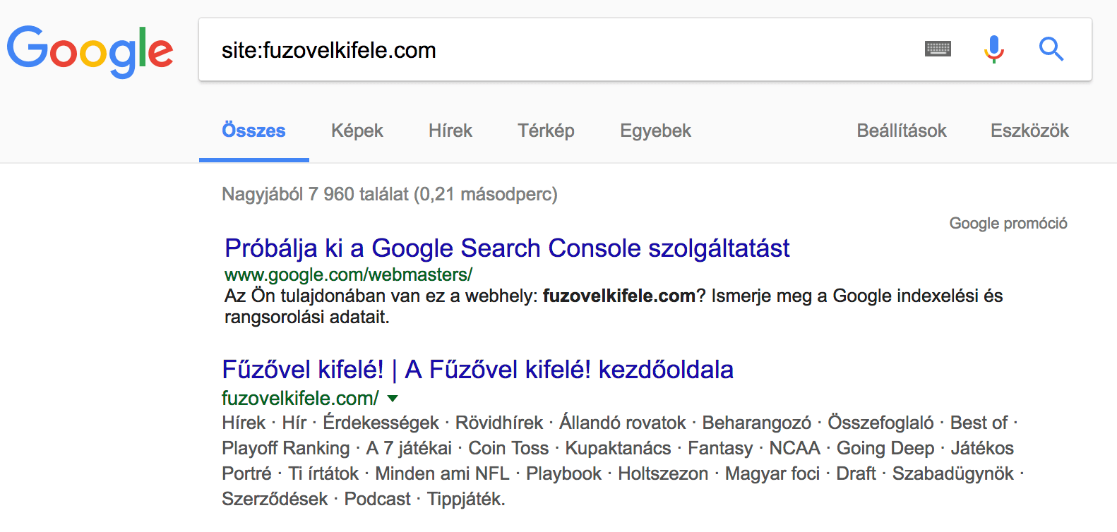 weboldal elemzés: site search