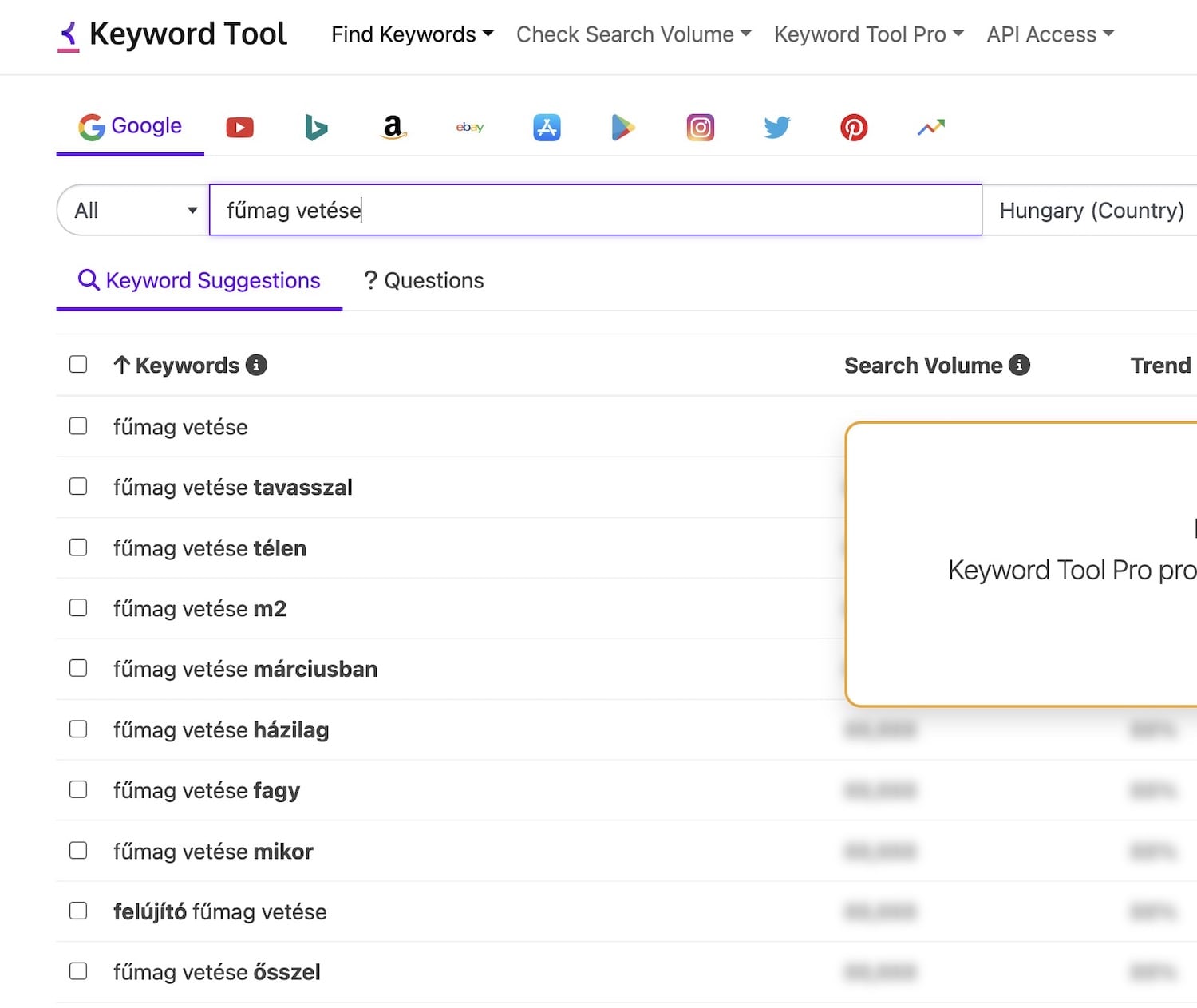 Fűmag vetése kulcsszavak a Keyword Tool-ban